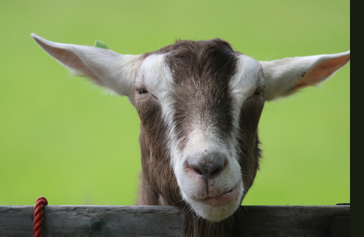 Screenshot-2025-07-18-20.11.23